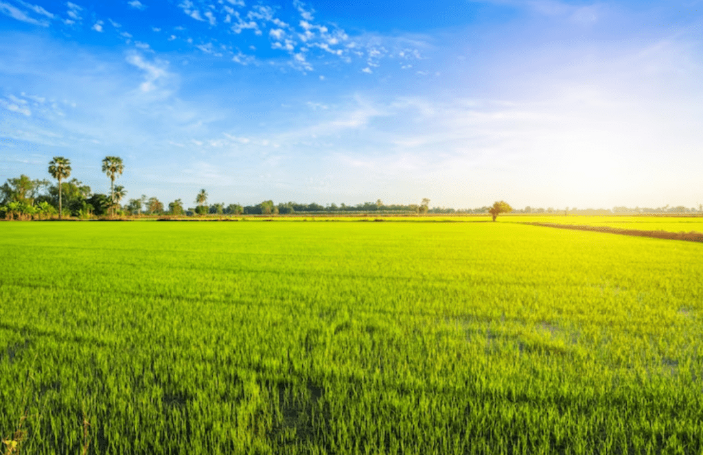 Are agricultural & development companies worth it