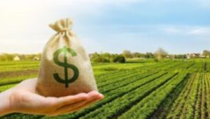 10 Reasons to Consider Farmlands as an Alternative to Stocks